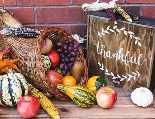 Turkey Tips for your Thanksgiving Feast